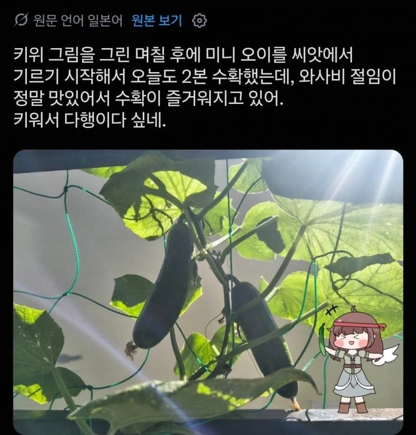 트릭컬] 큐이에 진심인 일본 큐이맘들.jpg_1.webp