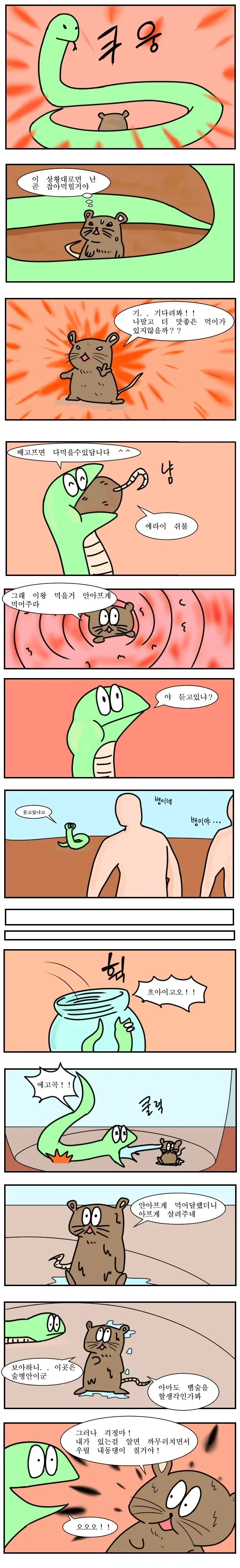 뱀 술이 위험한 이유_1.webp