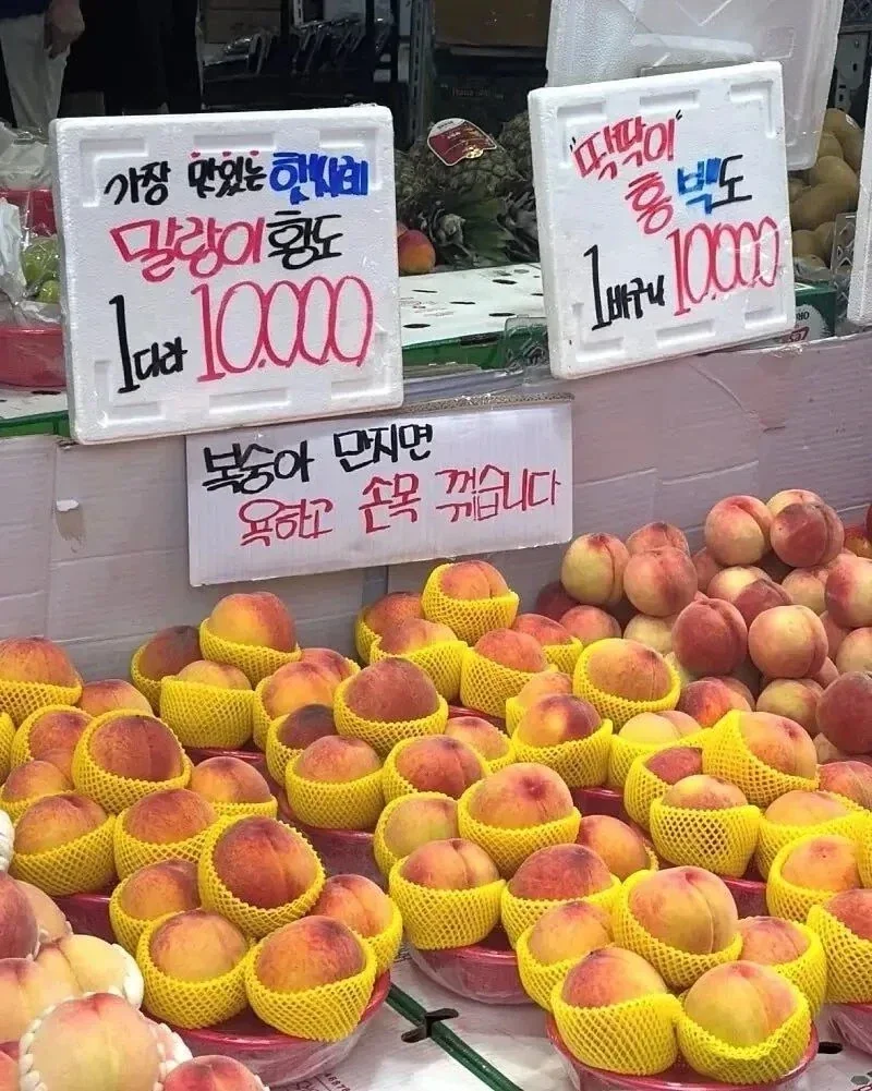 복숭아를 절대 만지면 안되는 이유_1.webp