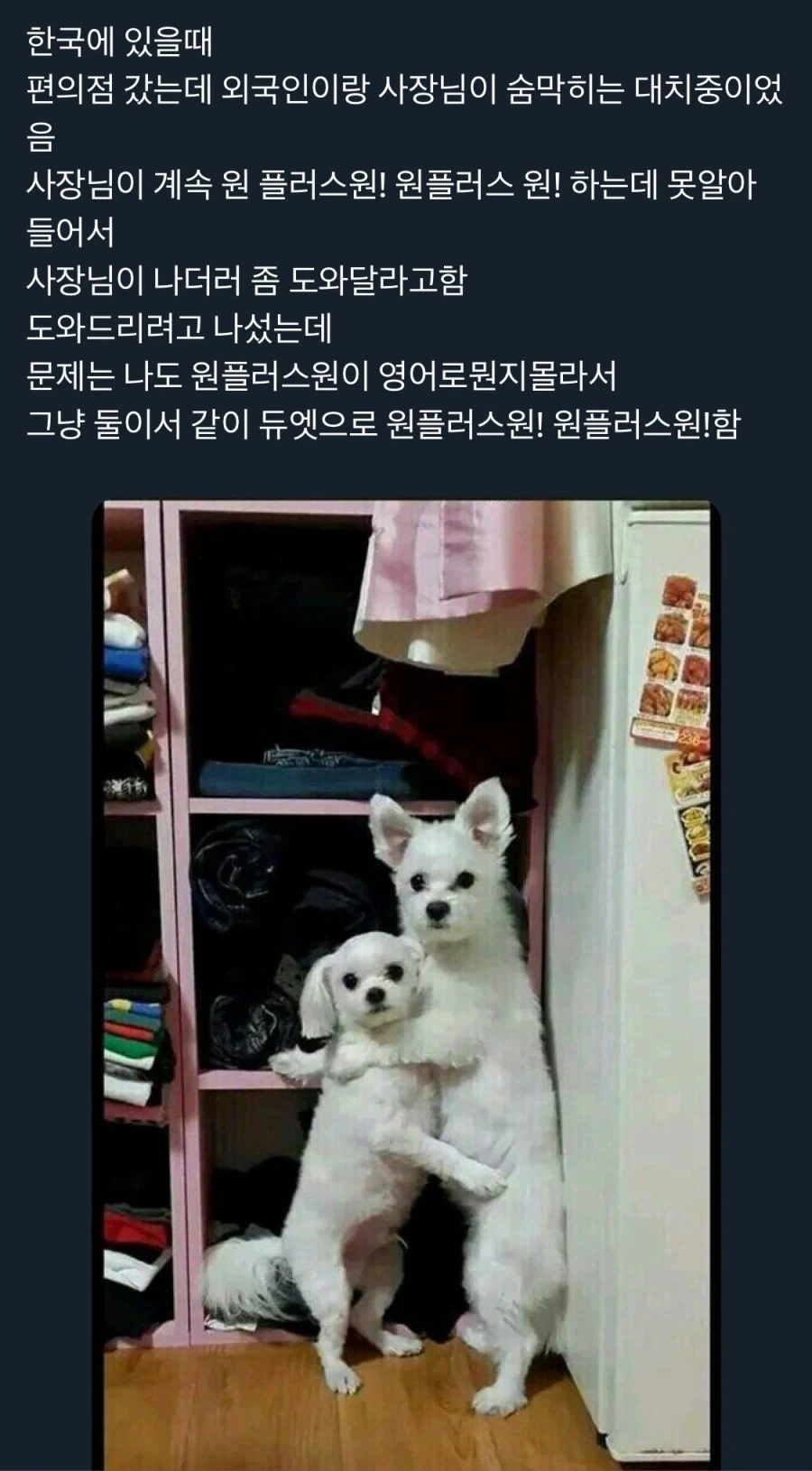 외국인과 사장님의 숨막히는 대치_1.webp