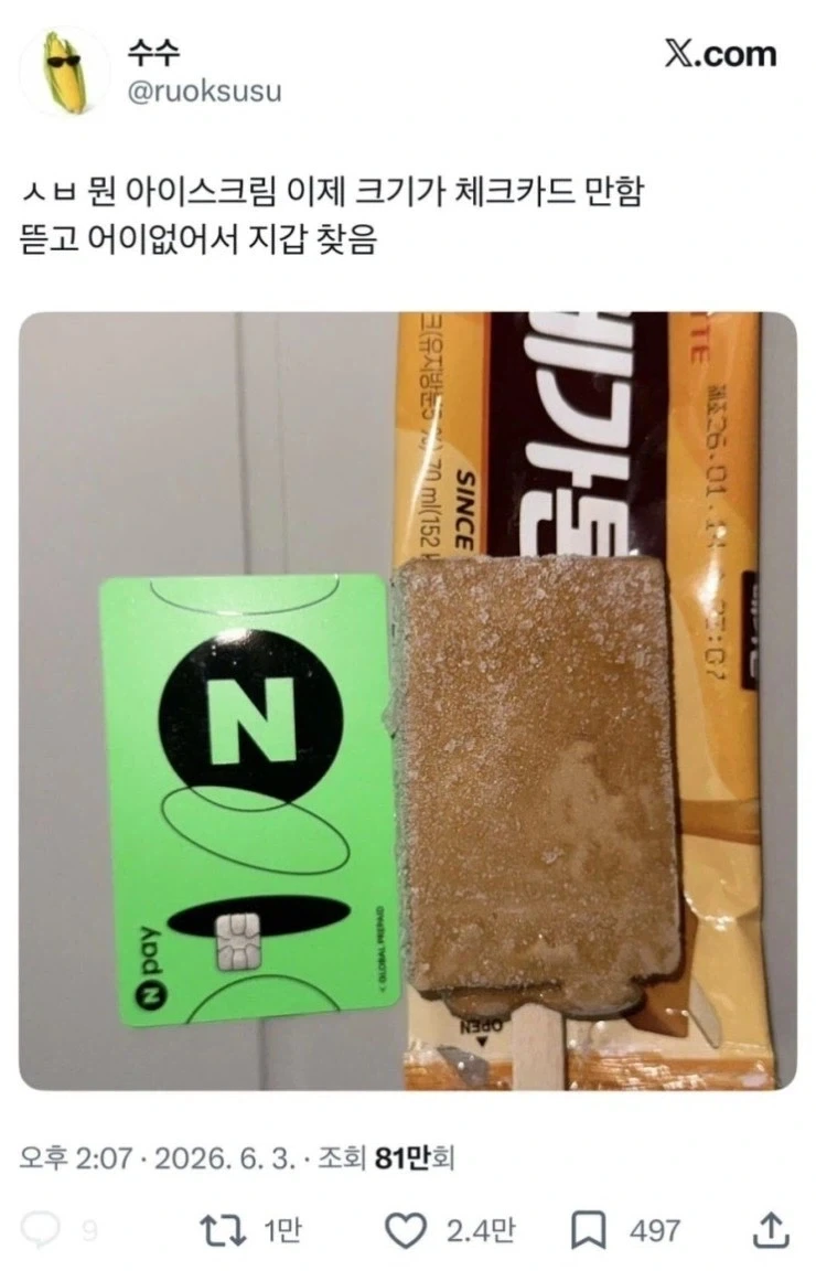 메가톤 실제 크기_1.webp