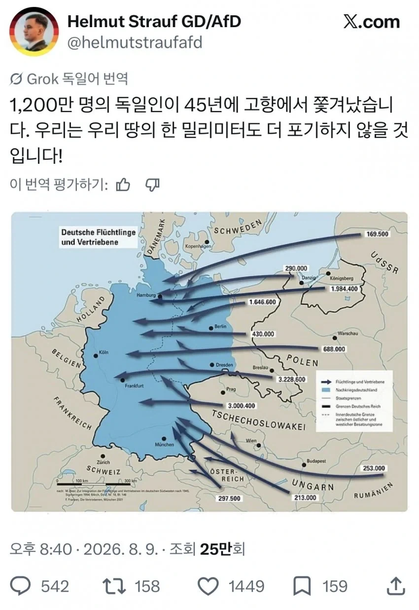 독일 극우