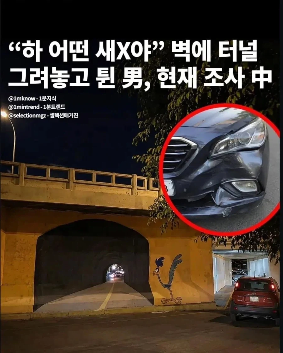 운전자라면 누구나 속을법한 그림_1.webp