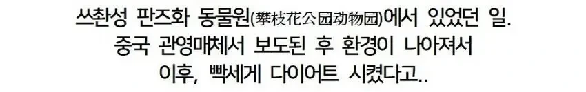 황당한 중국 동물원 대참사_6.webp
