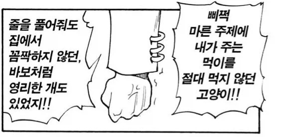 헌X헌) ???? : (와 ㅁㅊ 와꾸봐라, 쟤들 하곤 절대 못 친해질듯 ㄹㅇ)_8.webp