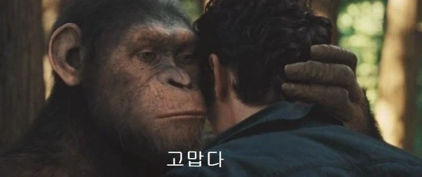 국적을 초월한 의인_3.webp