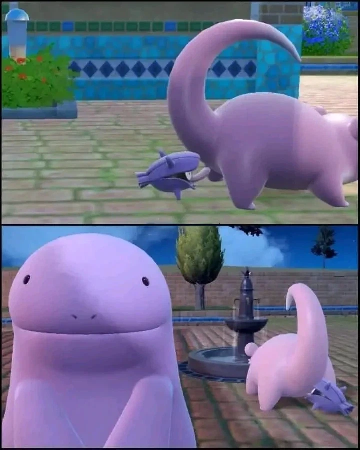 우리가 몰랐던 셀러가 야돈을 고르는 방법.jpg_1.webp