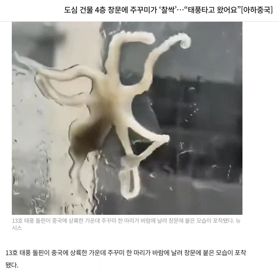 태풍) 이게 그 산지직송이냐_1.webp
