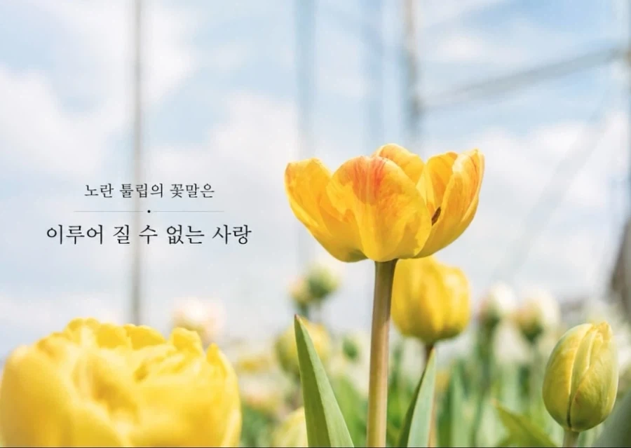 선생님 결혼을 축하하는.Manhwa_7.webp