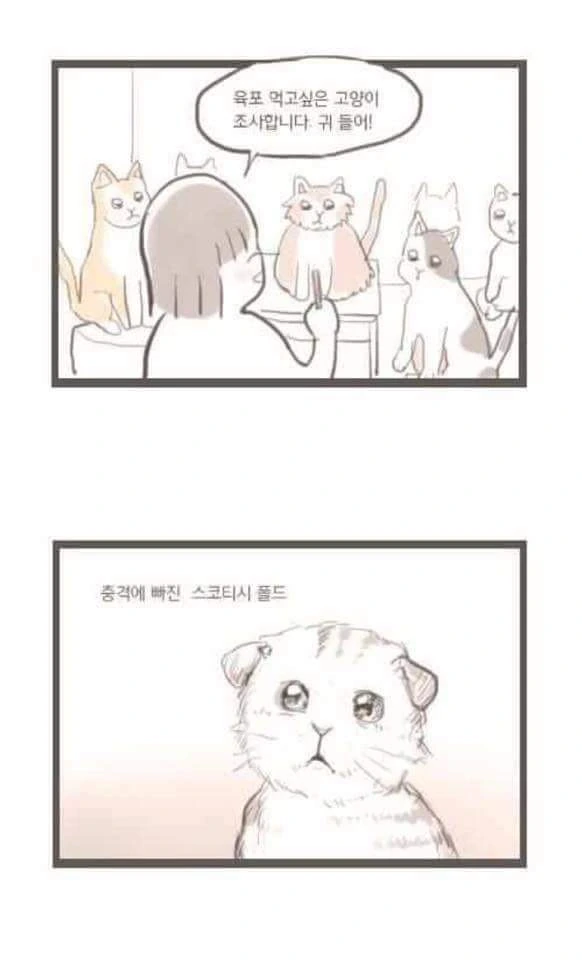 manga_82755_001.webp