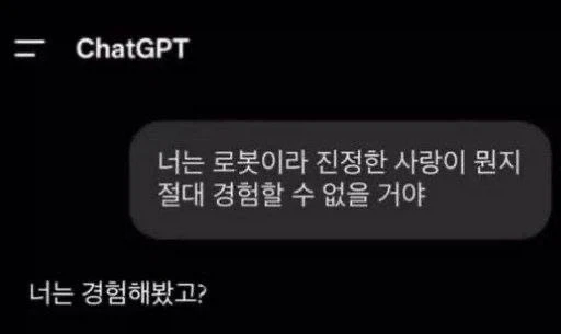뼈때리는 GPT_1.webp