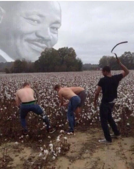 대대로 내려온 가문 문장을 바꾼 서양 가문_1.webp