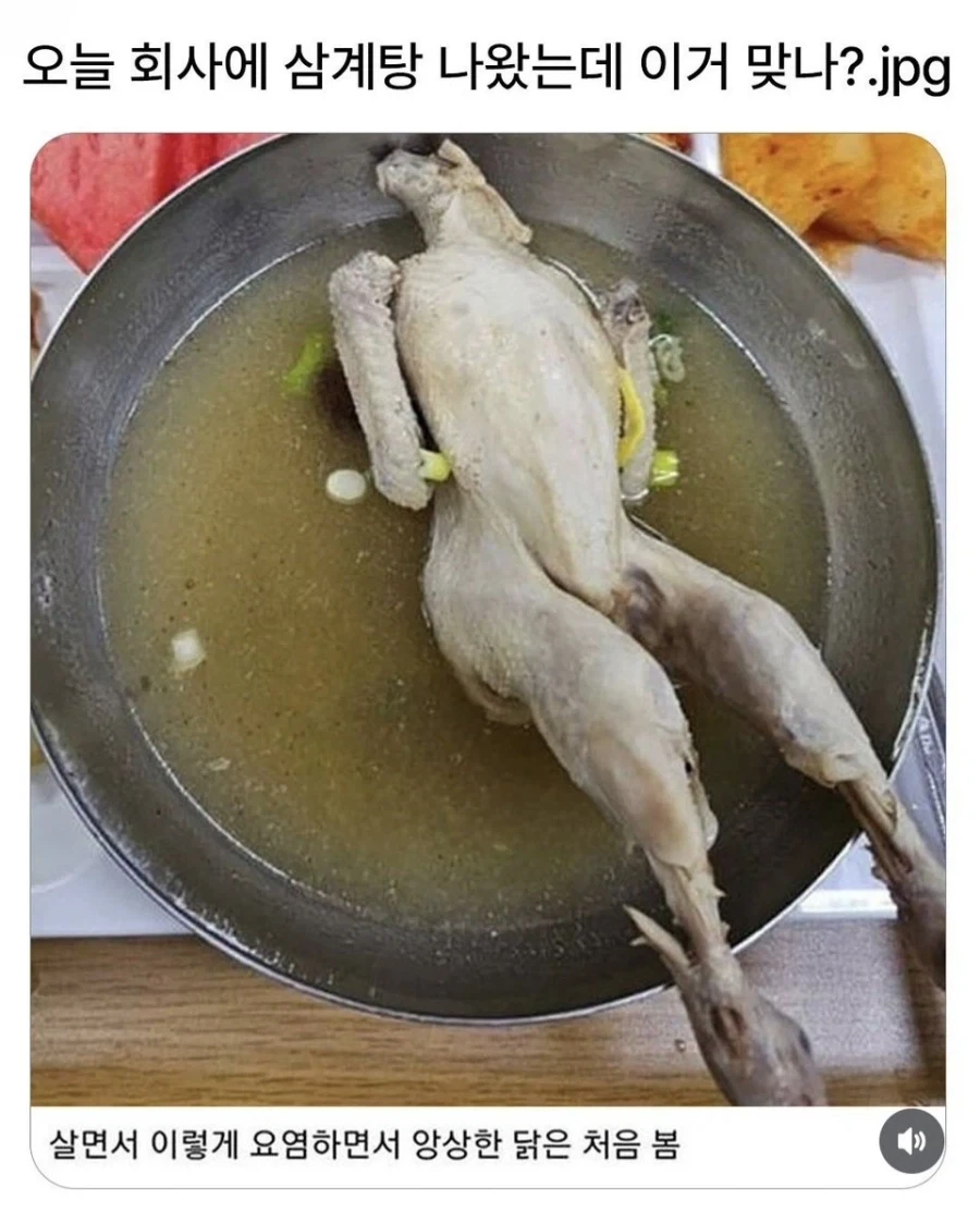 삼계탕 나왔는데 이거 맞아?_1.webp