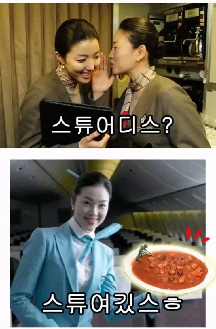 화제의 스튜어디스 짤 ㄷㄷ_1.webp