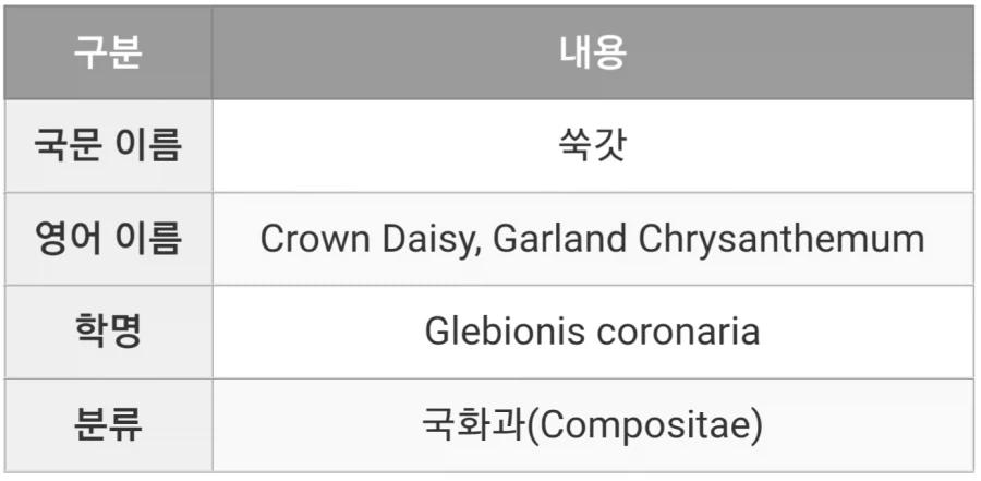 데이지 꽃을 우리나라에서 보기 힘든 이유_3.webp
