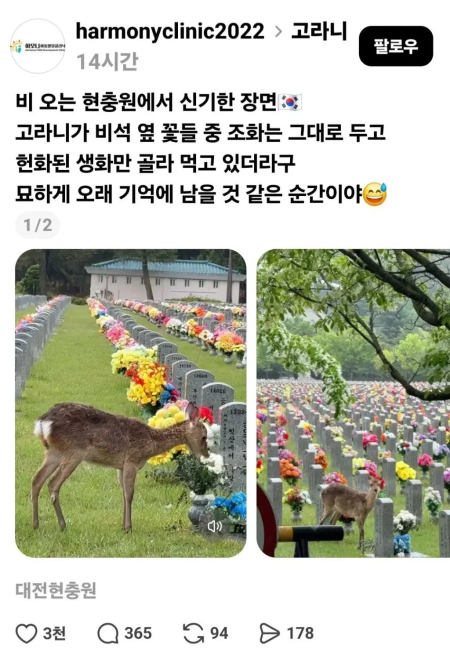 현충원에 고라니라니 관리자는 월급 루팡이냐!!!_1.webp