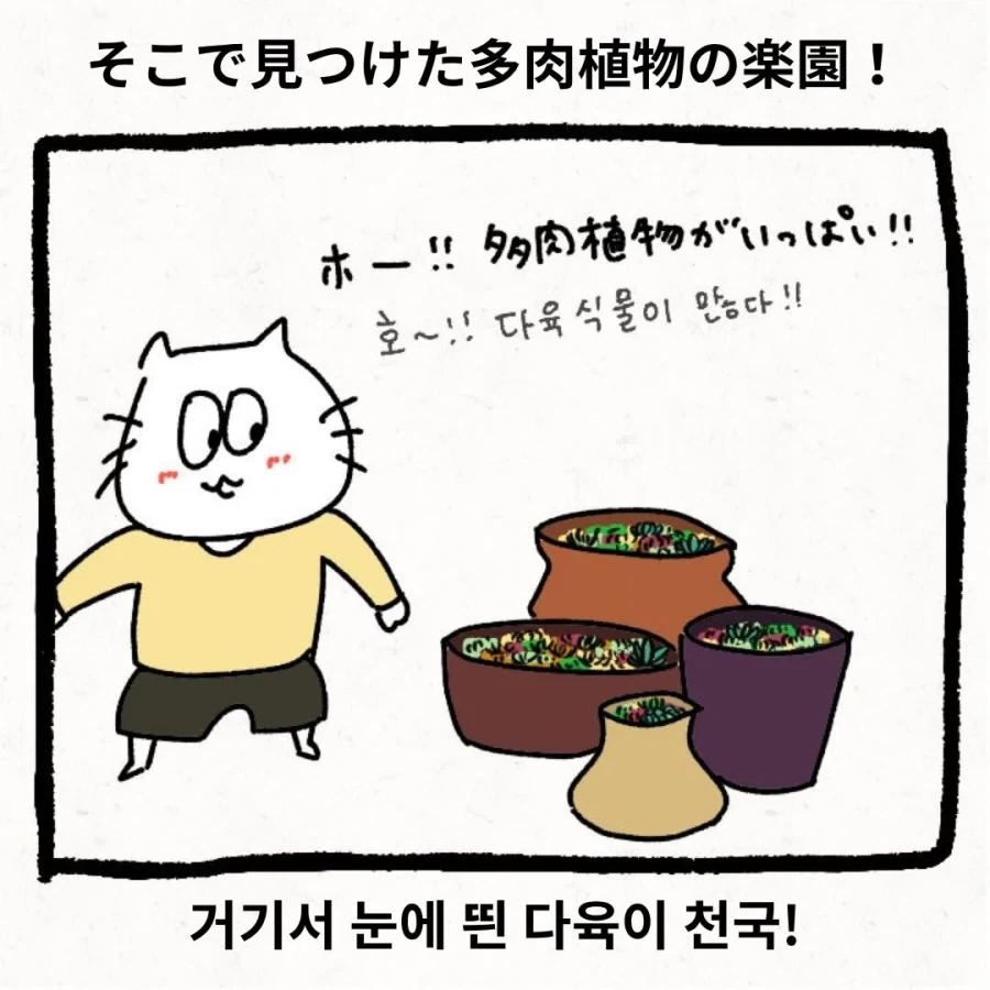 한국 시댁에 와서 이것저것 가져가는_2.webp