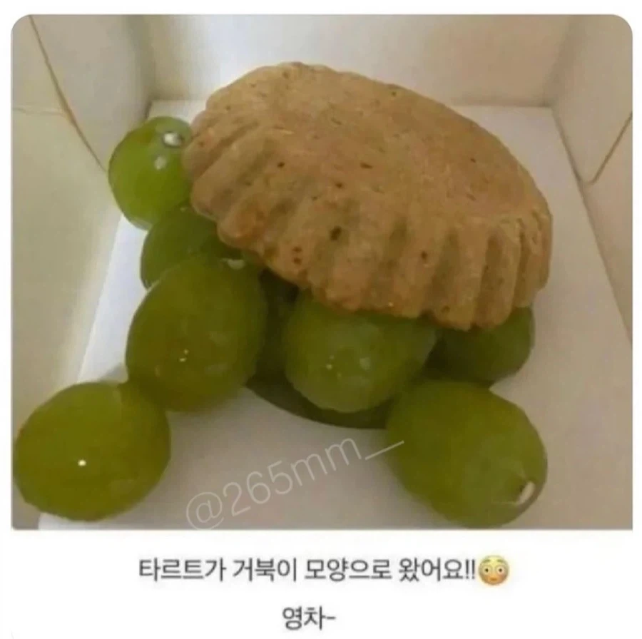 스트레스 없이 어깨 말랑한 사람들의 배달 후기.jpg_2.webp