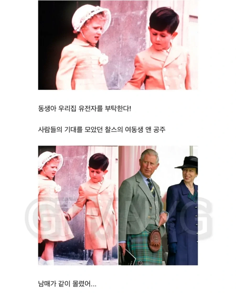 영국 왕실에 흐르는 강력한 유전자.jpg_8.webp