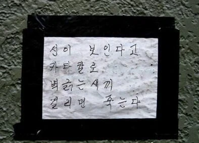 선/이/보/인/다.jpg_1.webp