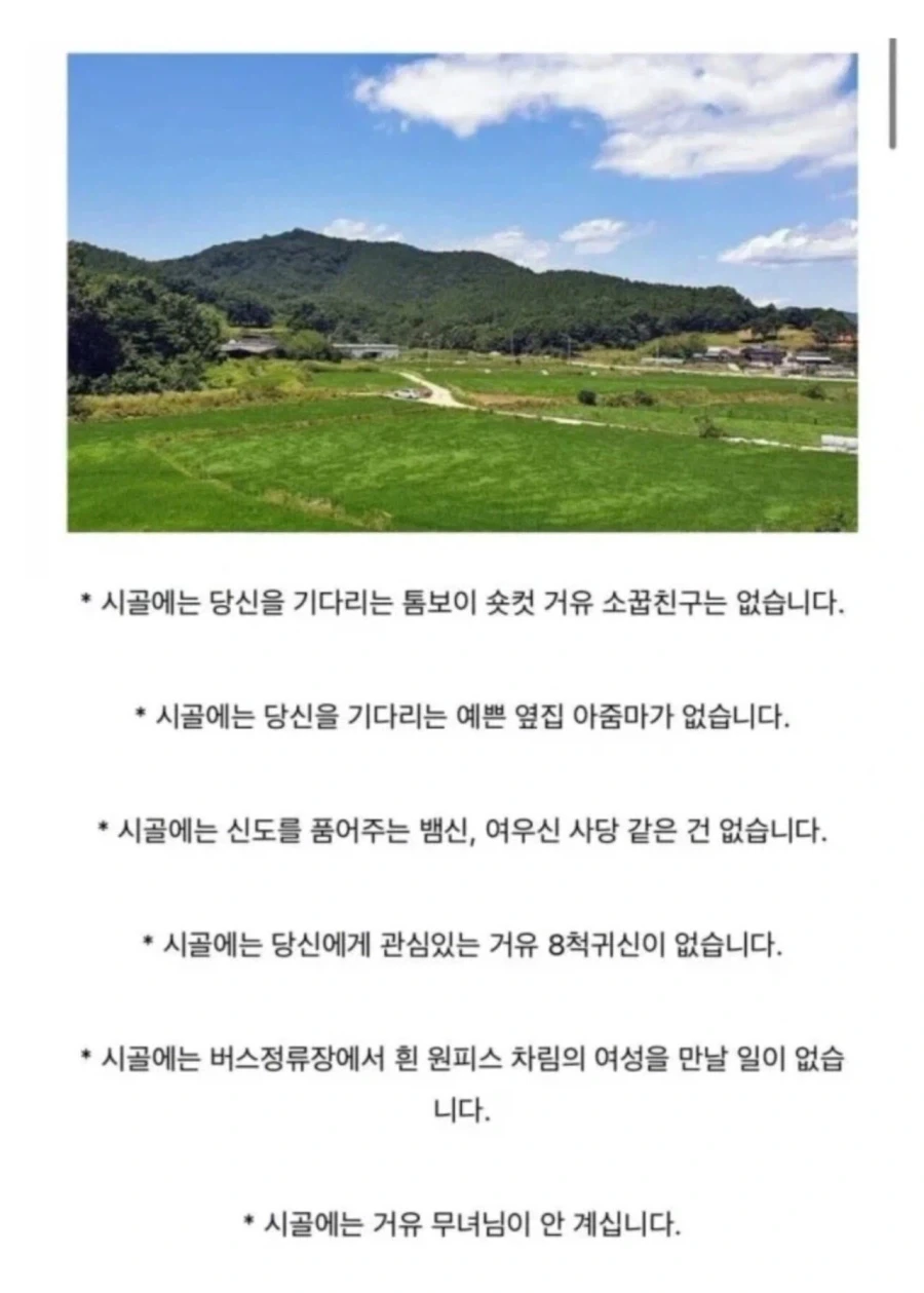 의외로 시골에 없는 것들.jpg_1.webp