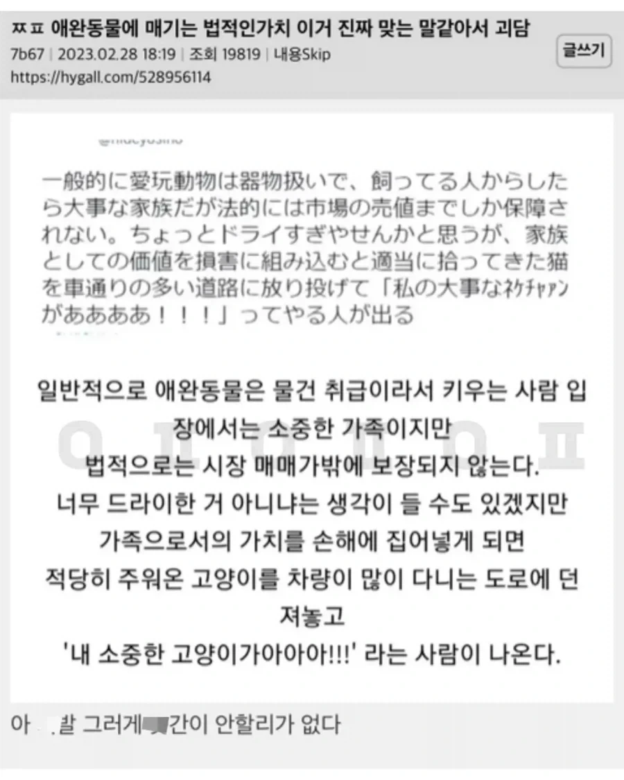애완동물에 매기는 법적인 가치.jpg_1.webp