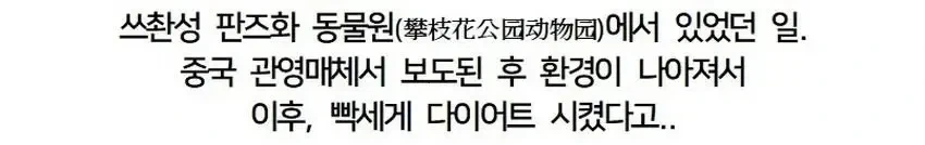 중국 어느 동물원에서 벌어진 참사(?).jpg_6.webp