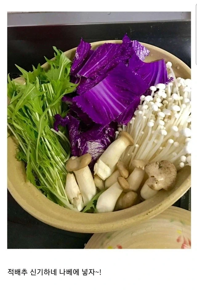마나회복 +80_1.webp
