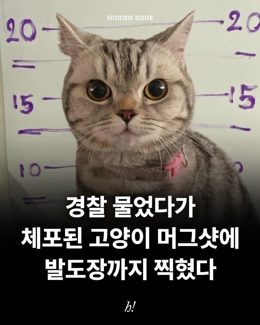 경찰을 공격한 흉악한 범죄자_1.webp