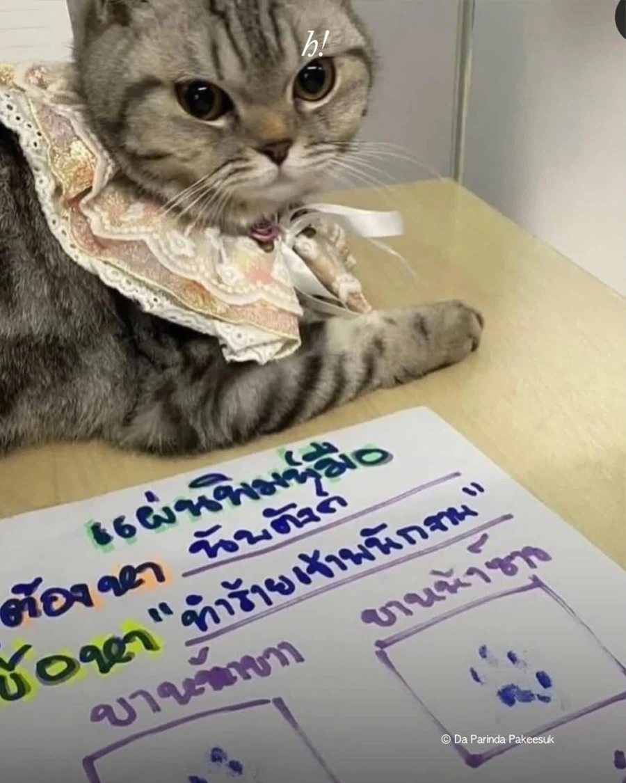 경찰을 공격한 흉악한 범죄자_3.webp