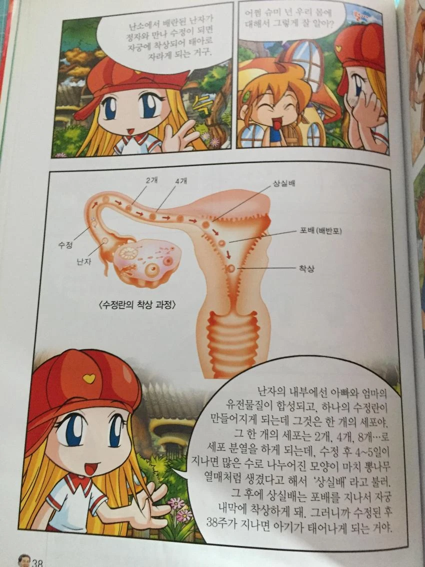 manga_1123514_002.webp