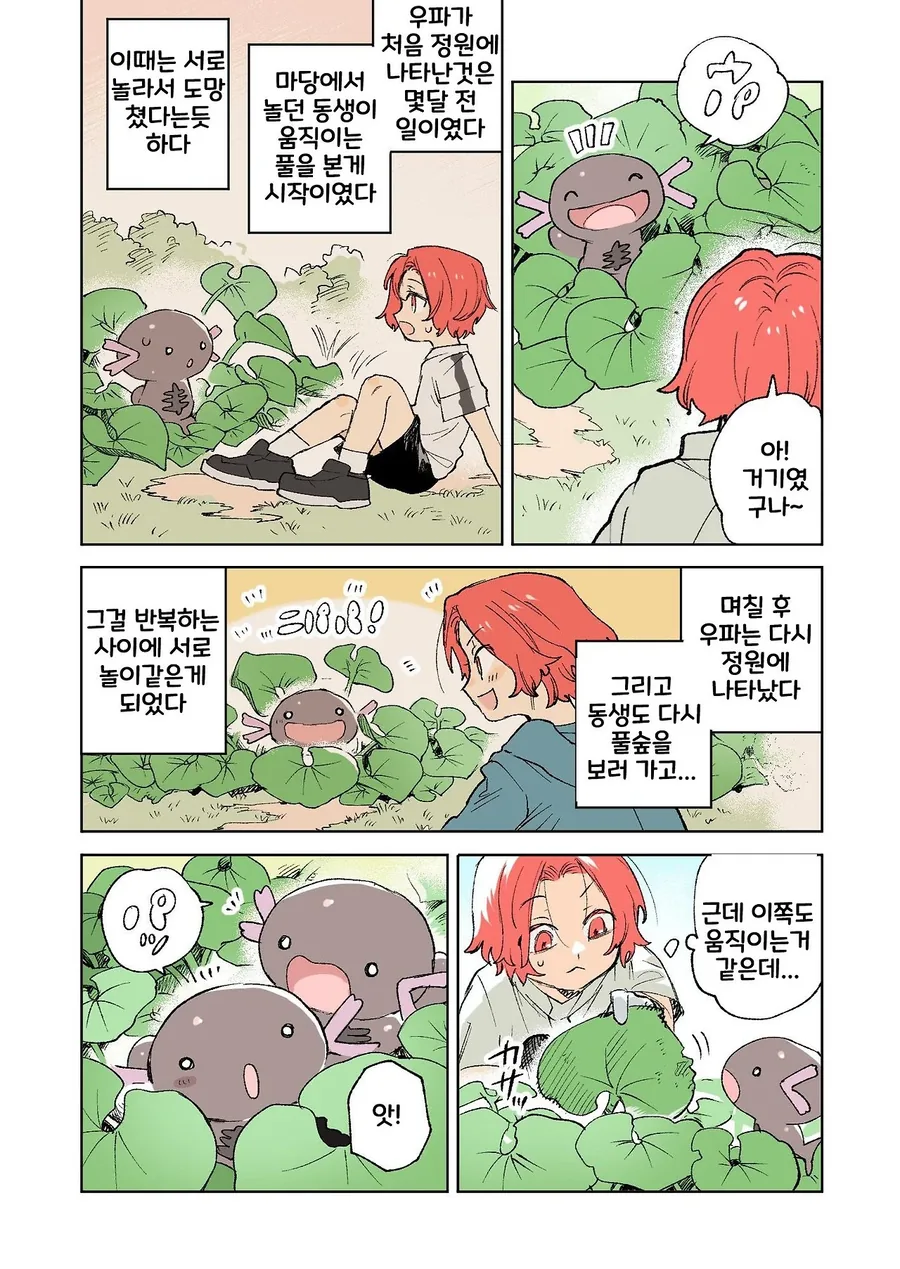 포켓몬 일상 만화 모음.webp_36.webp