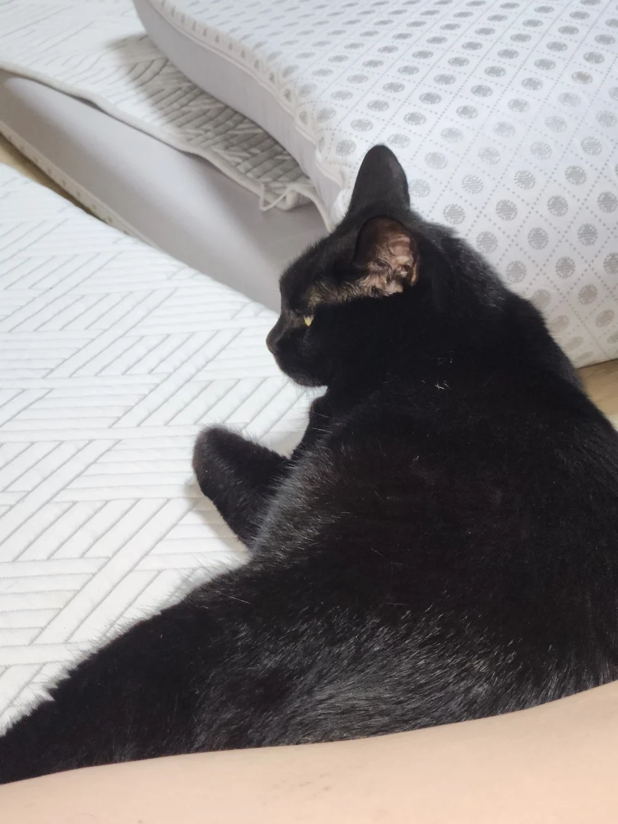 똥잘 그만 올려 이색히들아!!!!_5.webp
