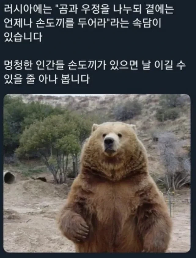 곰과 우정을 나누되 곁에는 언제나 손도끼를 두어라._1.webp