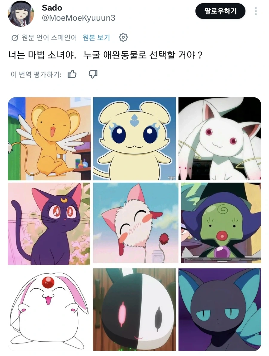 당신은 마법소녀에요 어떤 마스코트 요정을 선택할래요_1.webp