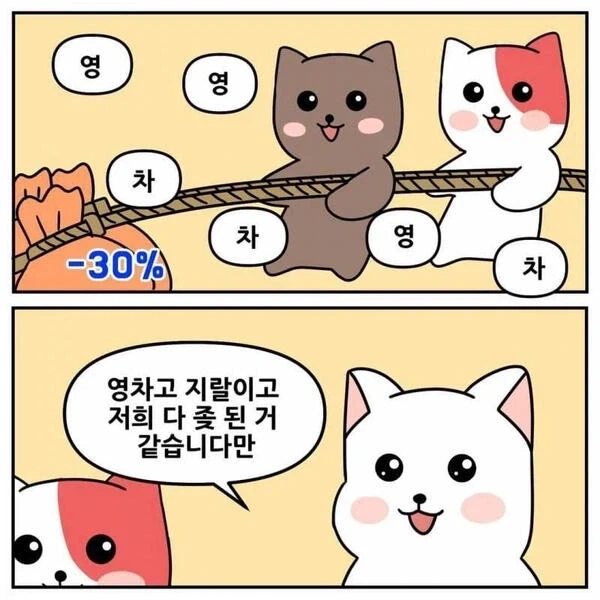 뉴스) 주식 역대급 상승장에도 흔한 것_1.webp