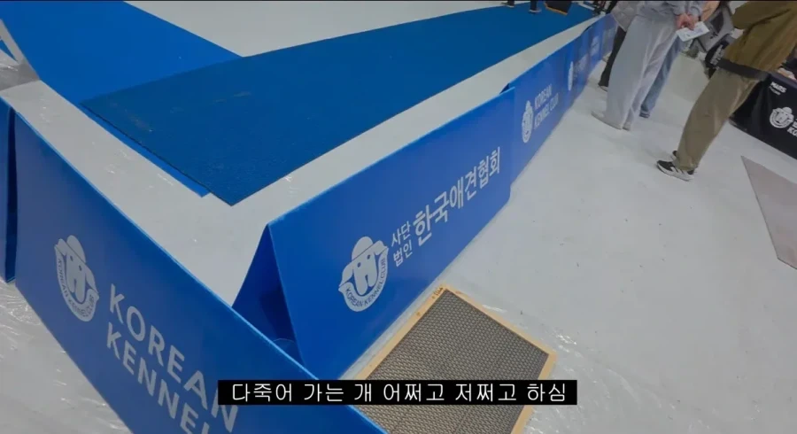 유튜버가 도그쇼에서 들은 말_2.webp