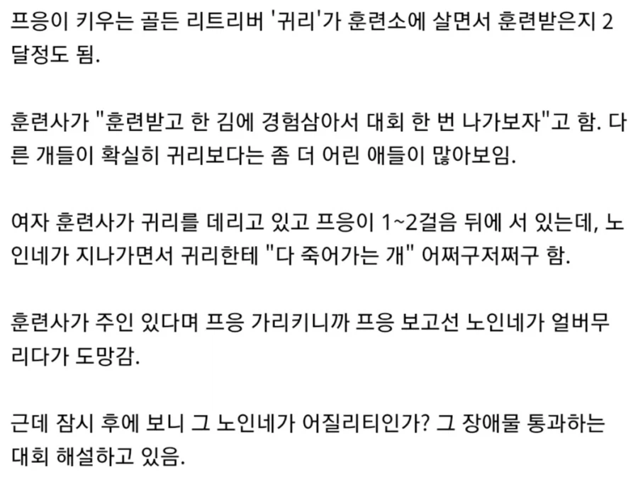 유튜버가 도그쇼에서 들은 말_5.webp