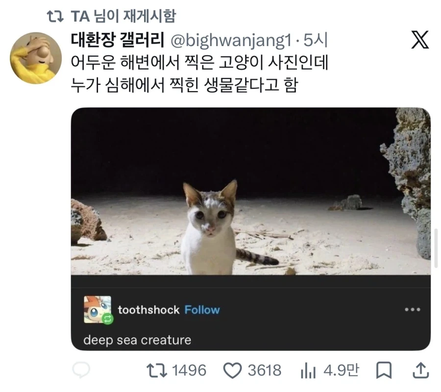 심해 드론으로 발견된 고양이_2.webp