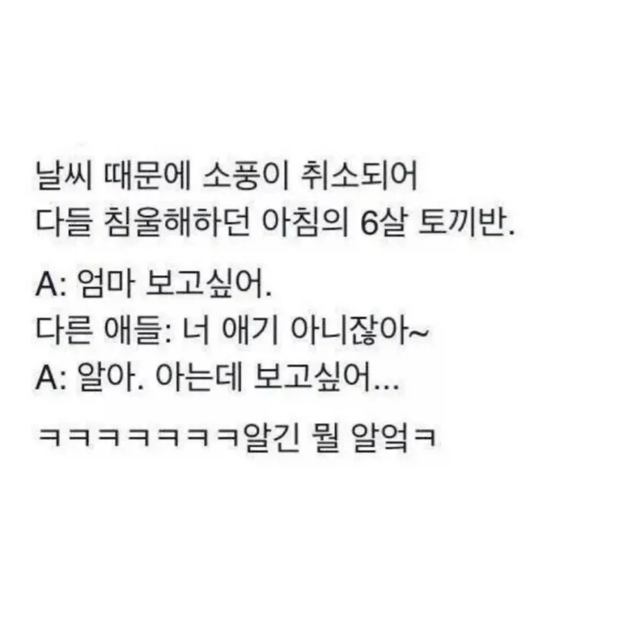 유치원 애기들 특_1.webp