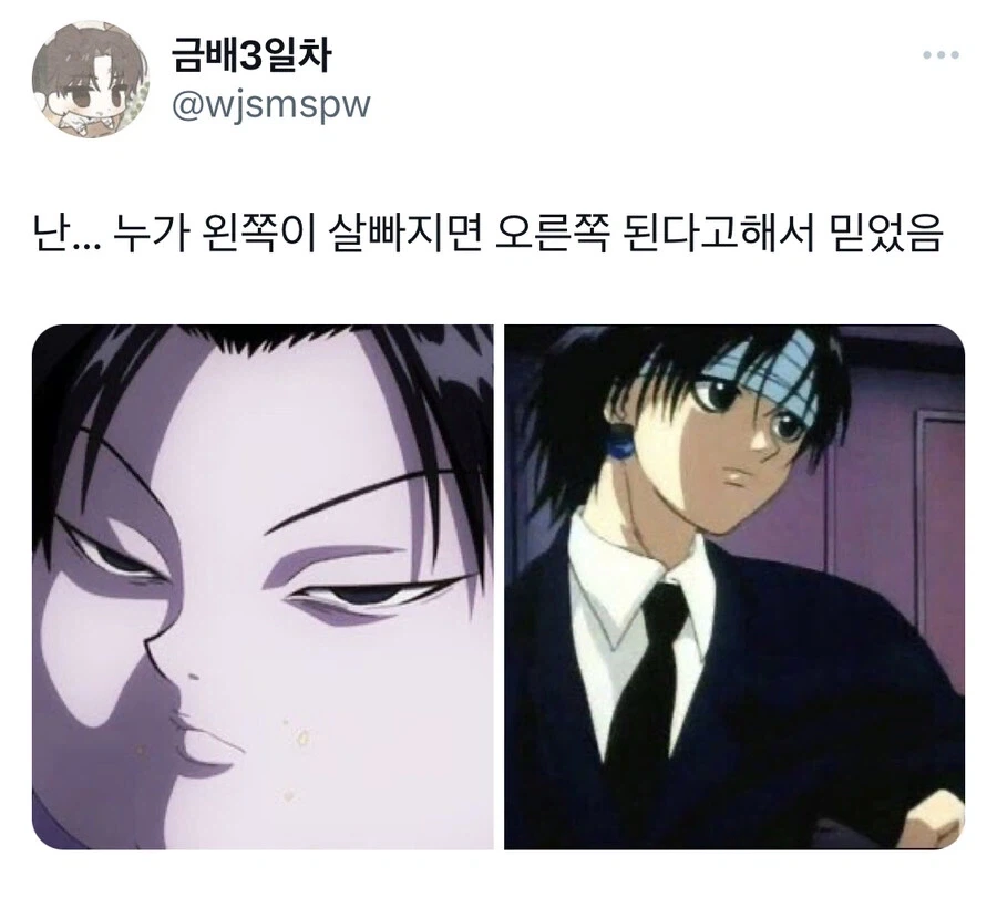 헌터헌터 보기 전에 속은 것.jpg_2.webp