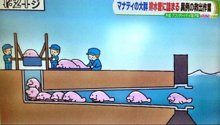 일본에서 큰 충격이었던 뉴스영상_1.jpg