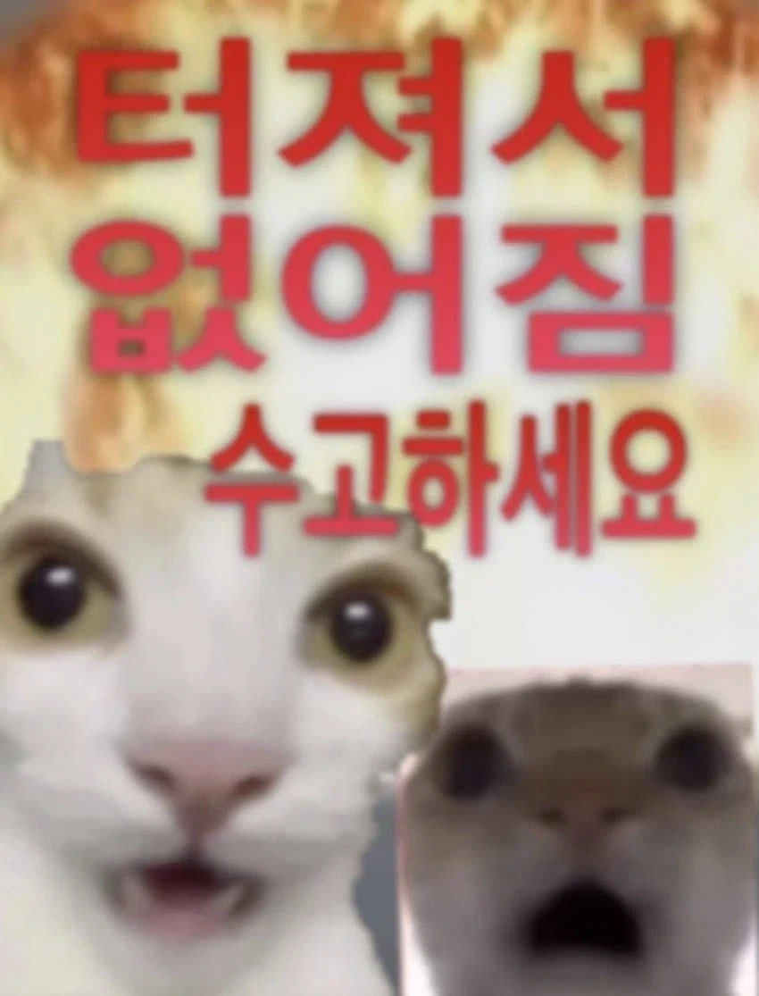 이짤 그냥 볼수록 웃김_1.webp