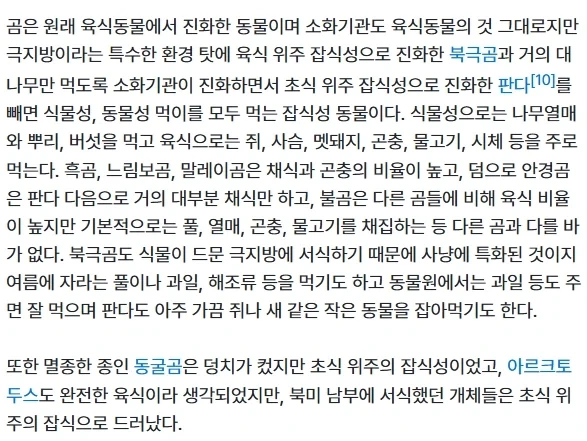 단군 신화에서 곰이 선택될 수 있었던 이유_1.webp