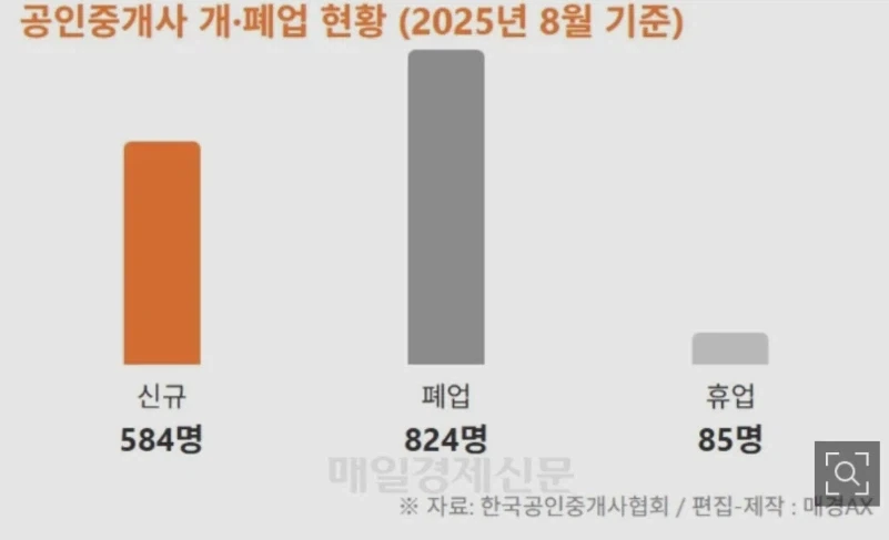 복덕방 연쇄 폐업.jpg_2.webp