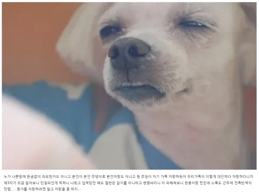 하영 쉴더들은 이제 연좌제 몰이로 둔갑시키려 하네_2.webp