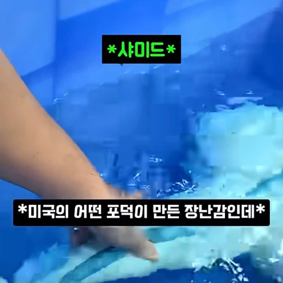 미국의 어떤 포덕이 만들었다는 장난감_1.webp