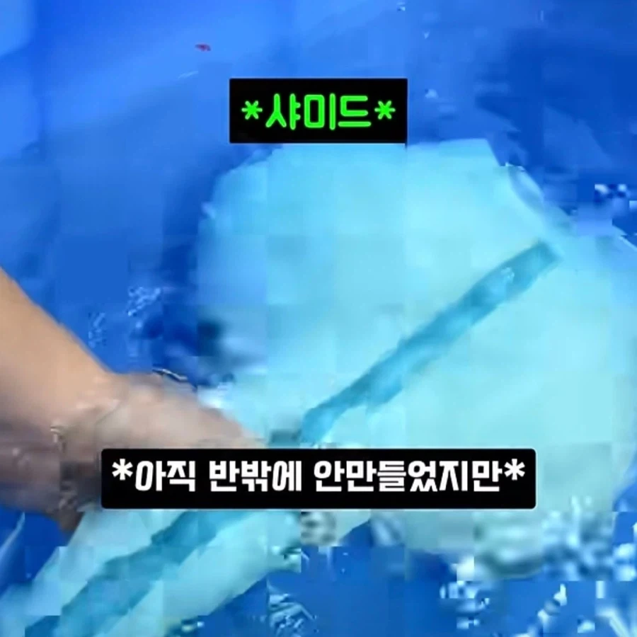 미국의 어떤 포덕이 만들었다는 장난감_2.webp