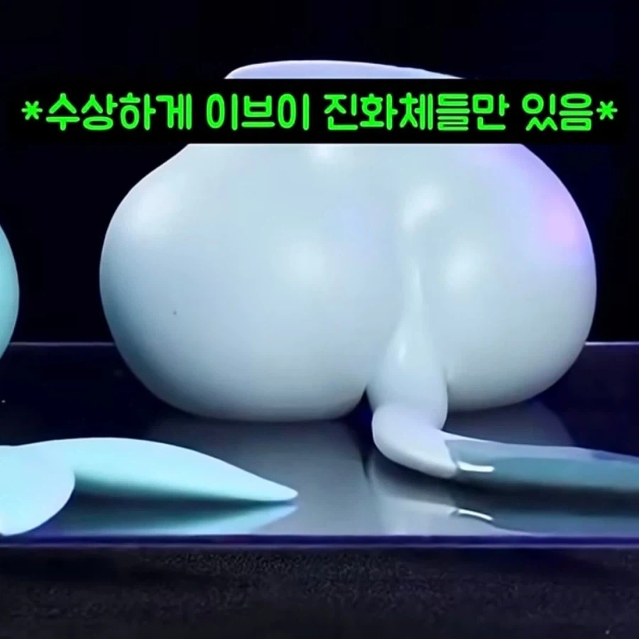 미국의 어떤 포덕이 만들었다는 장난감_6.webp