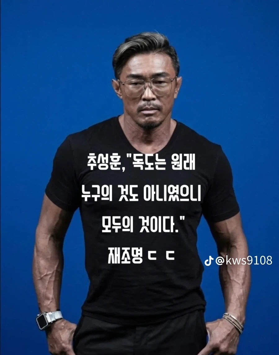 추성훈 독도는 원래 누구의것도 아니다_1.webp